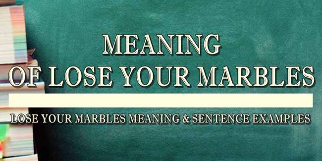 Lose Your Marbles Meaning And Sentence Examples 2747