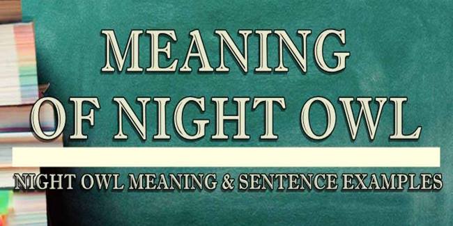 Night Owl Meaning & Sentence Examples