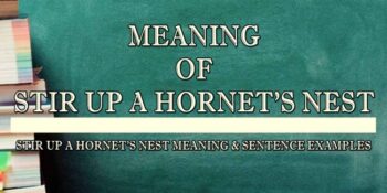 STIR UP A HORNET’S NEST MEANING 1