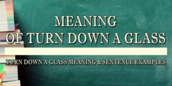 Turn Down A Glass Meaning 2