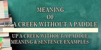 UP A CREEK WITHOUT A PADDLE MEANING 2