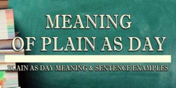 plain as day meaning 2