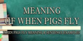 when pigs fly meaning 1