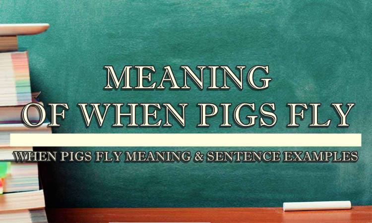 when-pigs-fly-meaning-sentence-examples