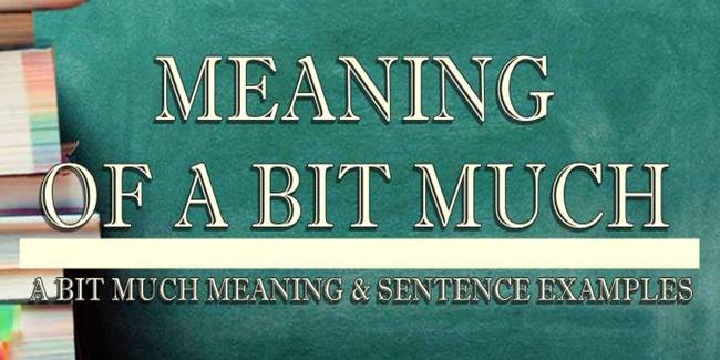 A Bit Much Meaning & Sentence Examples