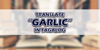 Garlic In Tagalog