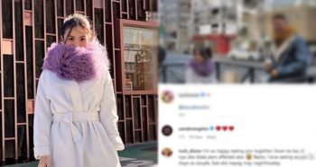 Heart Evangelista, Chiz Escudero