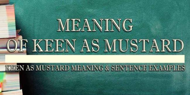 keen-as-mustard-meaning-sentence-examples