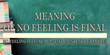 No Feeling Is Final Meaning 2