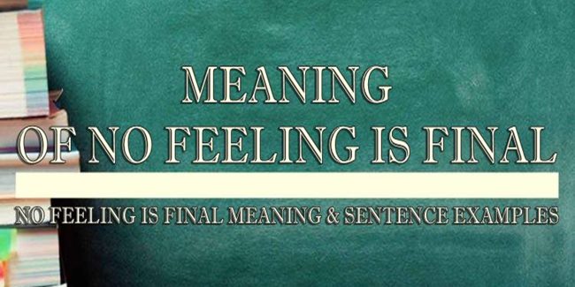 no-feeling-is-final-meaning-sentence-examples