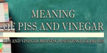 Piss and vinegar 2