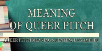 Queer the pitch 2