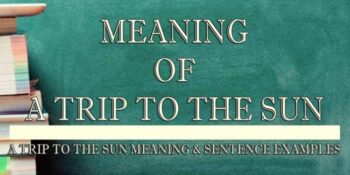 A Trip To The Sun Meaning 2