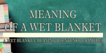 A Wet Blanket Meaning 2