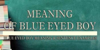 Blue Eyed Boy Meaning 2