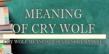 Cry Wolf Meaning 2