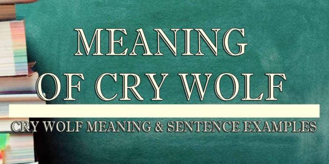 cry-wolf-meaning-sentence-examples