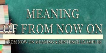 From Now On Meaning 2