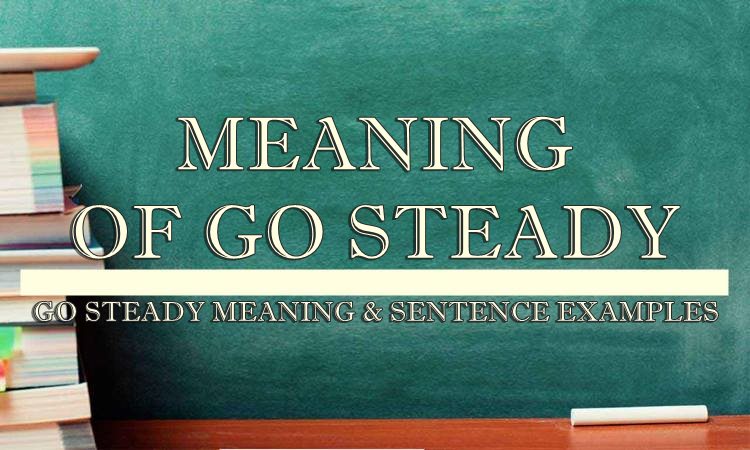 go-steady-meaning-sentence-examples