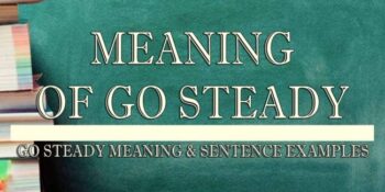 Go Steady Meaning 2
