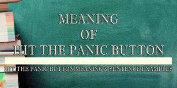 Hit The Panic Button Meaning 2