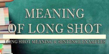 Long Shot Meaning 2