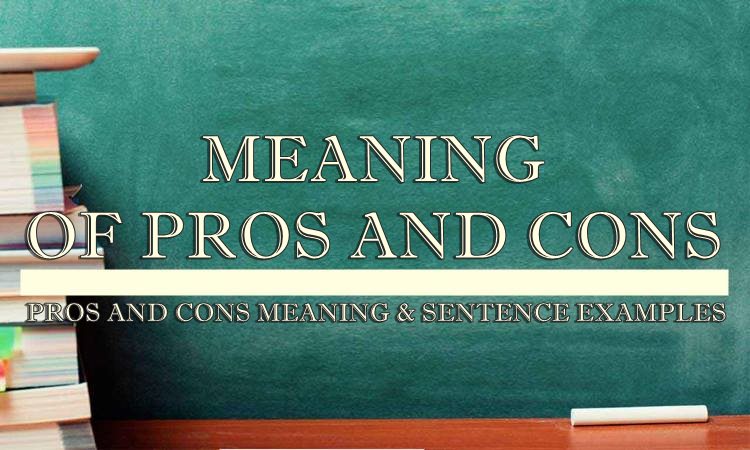 Pros And Cons Meaning amp Sentence Examples