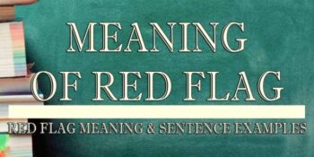 Red Flag Meaning 2