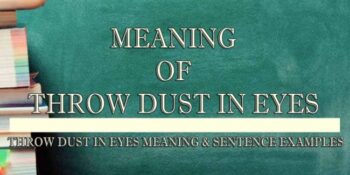 Throw Dust In Eyes Meaning 2