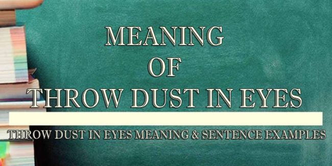 Dust Meaning Sentence