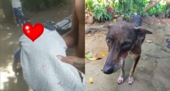 abandoned newborn baby