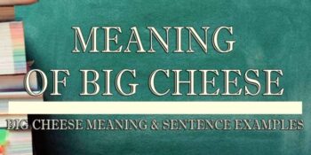 Big Cheese Meaning 2