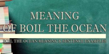 Boil The Ocean Meaning 2