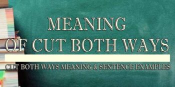 Cut Both Ways Meaning 2