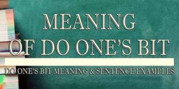 Do One’s Bit Meaning 2