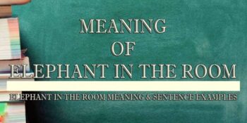 Elephant In The Room Meaning 2