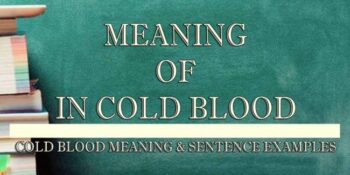 In Cold Blood Meaning 2