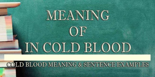 in-cold-blood-meaning-sentence-examples