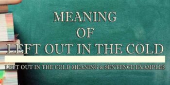 LEFT OUT IN THE COLD meaning 1