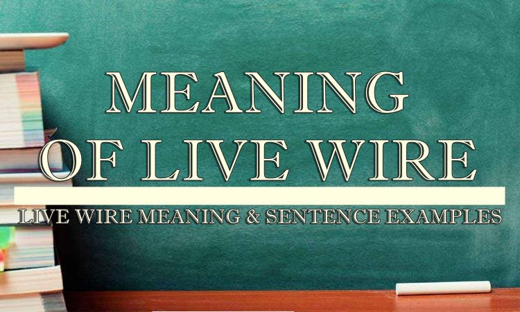 Live Wire Meaning & Sentence Examples
