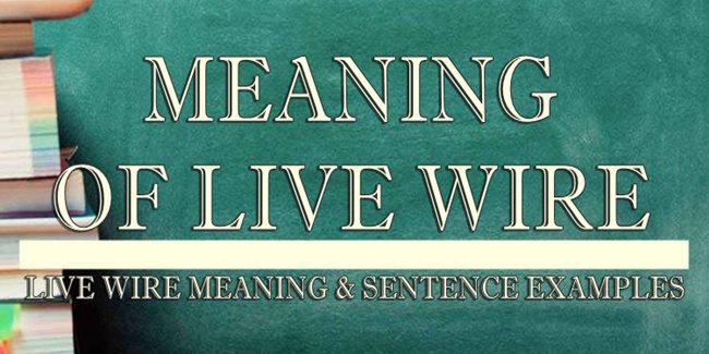 live-wire-meaning-sentence-examples