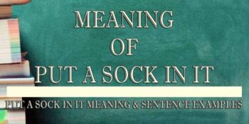Put A Sock In It Meaning 2