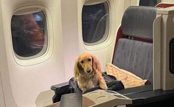 business class flight