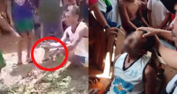 banakon or king cobra