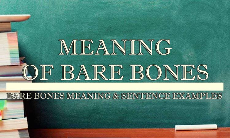 bare-bones-meaning-sentence-examples