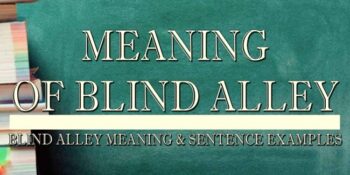 Blind Alley Meaning 1
