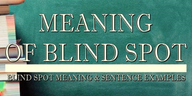 blind-spot-meaning-sentence-examples