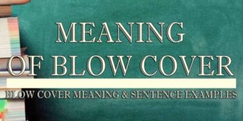 Blow Cover Meaning 2