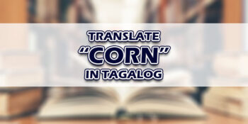 Corn In Tagalog