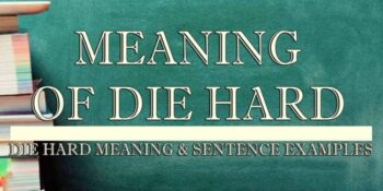 Die Hard Meaning 2
